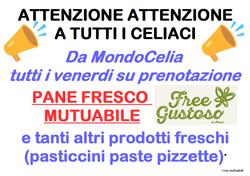 MondoCelia, Ploaghe orari di apertura