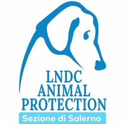 Lega Nazionale Per La Difesa Del Cane - Sez. Salerno, orari di apertura