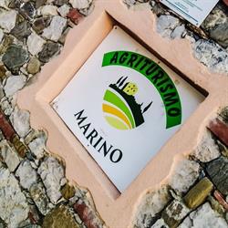 Agriturismo Agrimarino Trentinara, orari di apertura