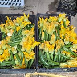 Azienda Agricola Mansutti, Udine orari di apertura