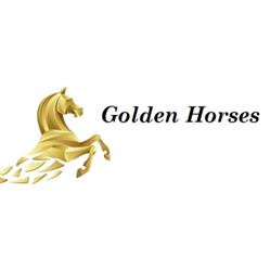 Centro Ippico Golden Horses, Roma orari di apertura