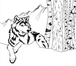 Bosco delle Rune, Taipana orari di apertura
