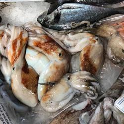 Pescheria Mare Vivo, Ferentino orari di apertura