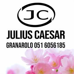 Studio estetico ed olistico Julius Caesar, Granarolo dell'Emilia orari di apertura