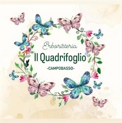 Erboristeria il Quadrifoglio, Campobasso orari di apertura