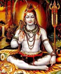 SHIVA, Livorno orari di apertura
