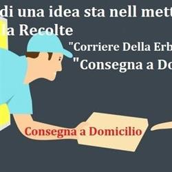 La Recolte Erboristeria, Settimo Torinese orari di apertura