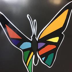 Lavasecco papillon due, Cermenate orari di apertura