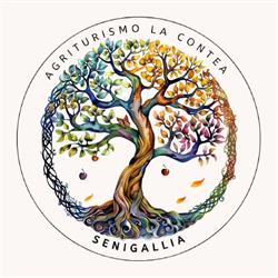 La Contea, Senigallia orari di apertura