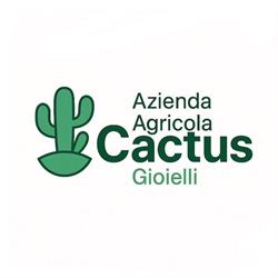Cactus s.r.l Gioielli, Giugliano in Campania orari di apertura