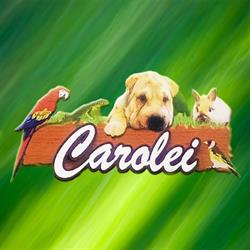 Carolei, Castellammare di Stabia orari di apertura