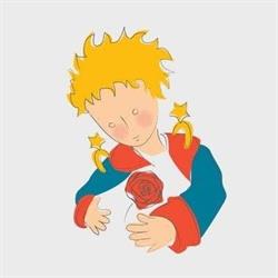 Il Piccolo Principe, Lequile orari di apertura