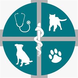 Clivet Grosseto Clinica Veterinaria, orari di apertura