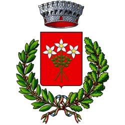 Comune di Belfiore, orari di apertura
