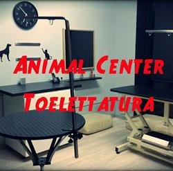 Animal Center Toelettatura, Genova orari di apertura