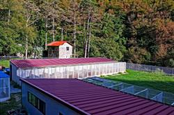 Parco Canile Dogsville - Rifugio e Pensione per Cani, Genova orari di apertura