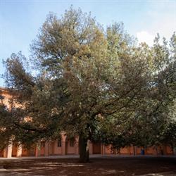 Biblioteca Universitaria Giuridica, Modena, orari di apertura