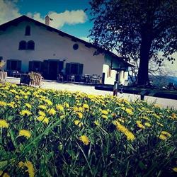 Osteria Sant'Anna, Trento orari di apertura