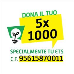 SpecialMente Tu, Grugliasco orari di apertura