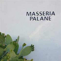 Masseria Palane Relax Resort, Castrignano del Capo orari di apertura