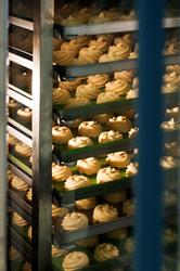 Friulbaker Tolmezzo, orari di apertura