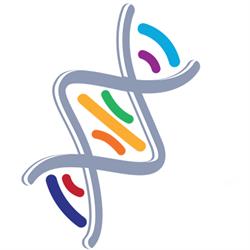BIOVIIIx, Napoli orari di apertura