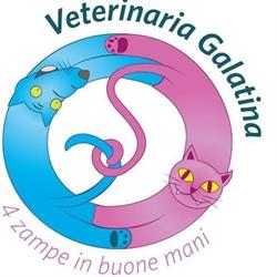 Veterinaria Galatina, Santa Maria Capua Vetere orari di apertura