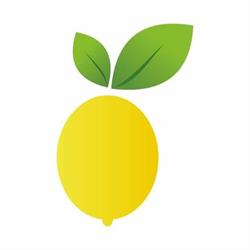 LimoneWeb.it - Siti Web e App, Torrenova orari di apertura