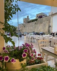 Mediterraneo Camere Otranto, orari di apertura