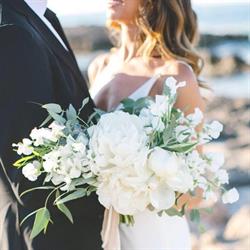 Flower Addicted, Ruvo di Puglia orari di apertura