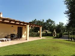 Agriturismo Dallolivo, Bolgheri orari di apertura