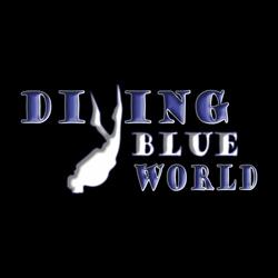 A.S.D. DivingBlueWorld, Roma orari di apertura
