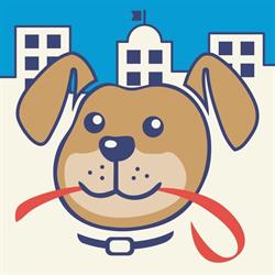 Andrea Grisi - Centro Cinofilo Doctor Dog, Bedizzole orari di apertura