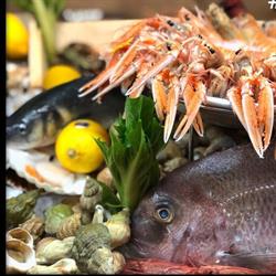 Ristorante Shannara 2, Milano orari di apertura