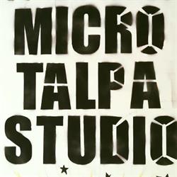 Micro Talpa Studio, Minerbio orari di apertura