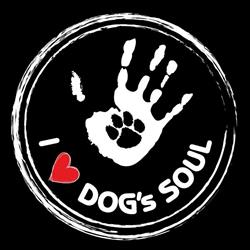 Dog's Soul, Borgo Ticino orari di apertura