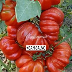 Azienda Agricola Travaglini Produttori, San Salvo orari di apertura