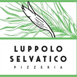 Luppolo Selvatico, Breda di Piave orari di apertura