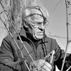 Agricola Nevio Scala, Lozzo Atestino orari di apertura