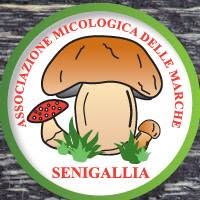 Associazione Micologica delle Marche - Senigallia, orari di apertura