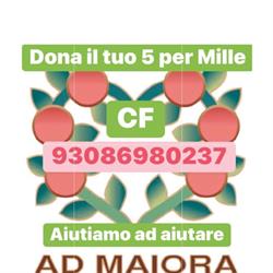 Associazione ad Maiora Verona, orari di apertura