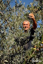 Azienda Agricola Biologica Giacomini Valerio, Gargnano orari di apertura