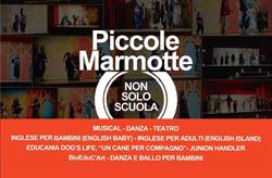 Piccole Marmotte srl, Cagliari orari di apertura