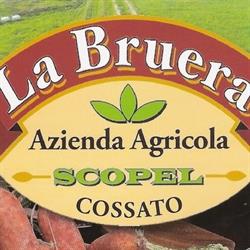 Azienda Agricola Scopel Umberto - La Bruera, Cossato orari di apertura
