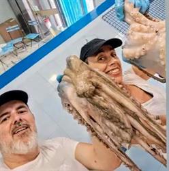 Pescheria DA Michela, Bastia Umbra orari di apertura