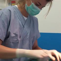 Ambulatorio veterinario, Dott.ssa Sappa Clara, Carignano orari di apertura