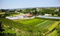 Agriturismo Perugini, Cesena orari di apertura
