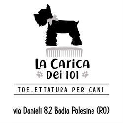 La carica dei 101 Toelettatura Badia Polesine, orari di apertura