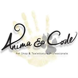 Anima & Code, Napoli orari di apertura