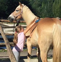 Scirer's Ranch Horses asd, Castelnuovo di Garfagnana orari di apertura